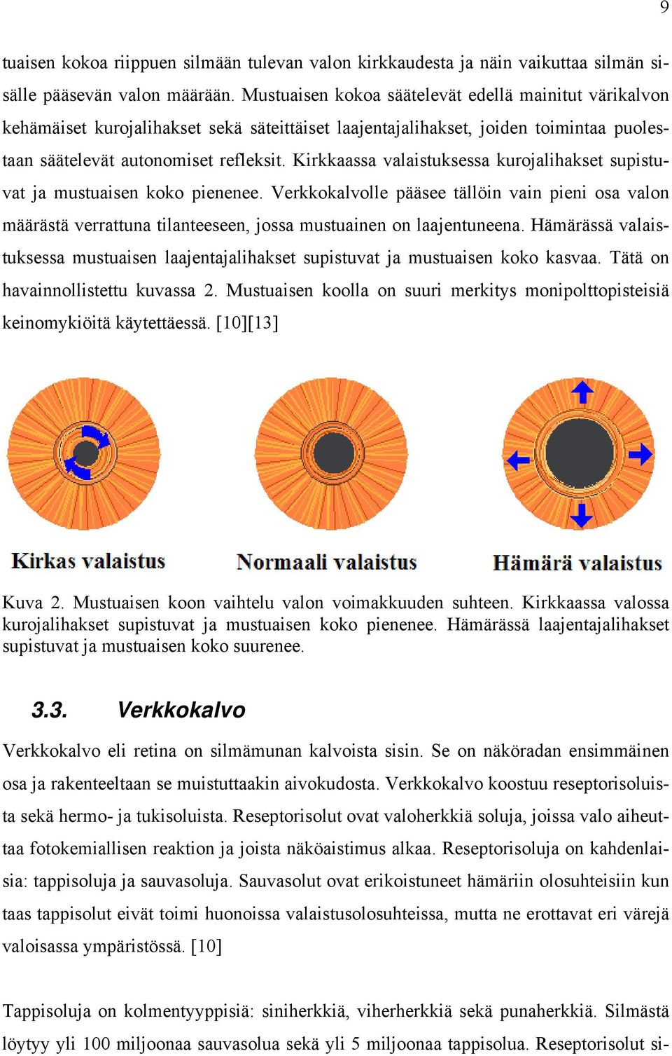 Kirkkaassa valaistuksessa kurojalihakset supistuvat ja mustuaisen koko pienenee. Verkkokalvolle pääsee tällöin vain pieni osa valon määrästä verrattuna tilanteeseen, jossa mustuainen on laajentuneena.