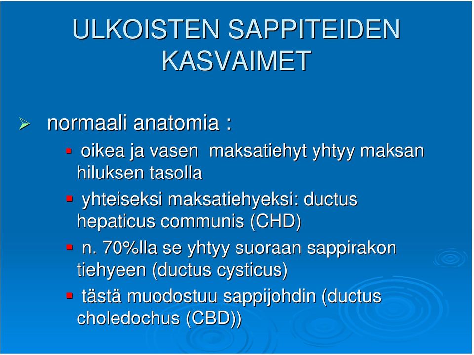 ductus hepaticus communis (CHD) n.