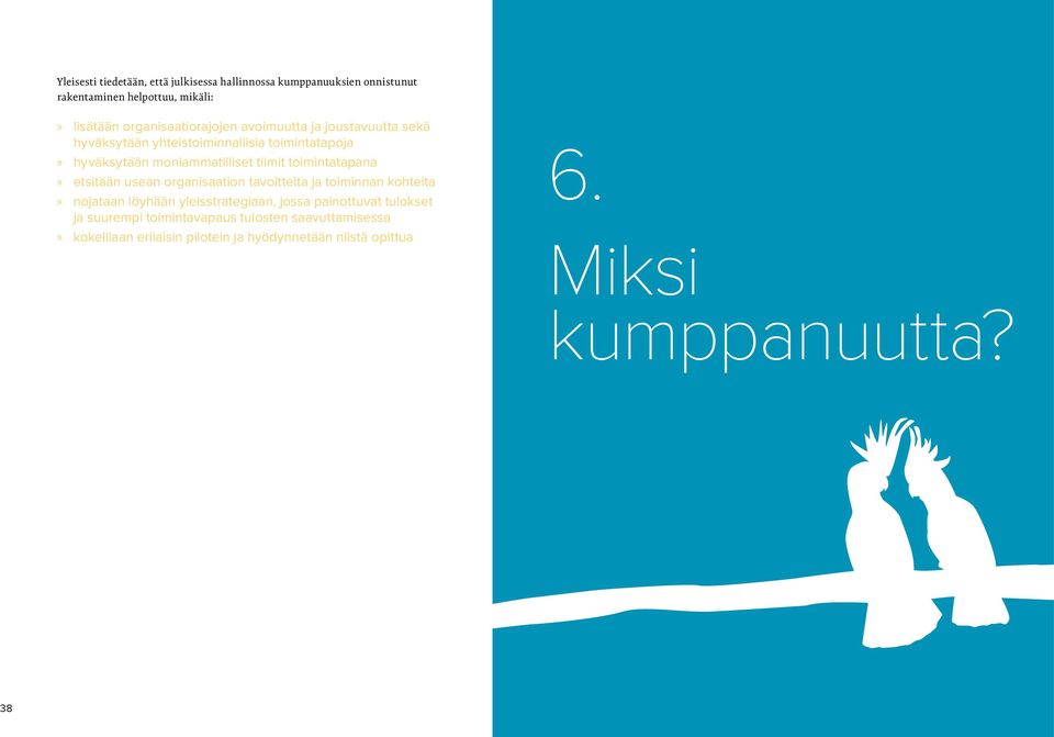 tiimit toimintatapana etsitään usean organisaation tavoitteita ja toiminnan kohteita nojataan löyhään yleisstrategiaan, jossa