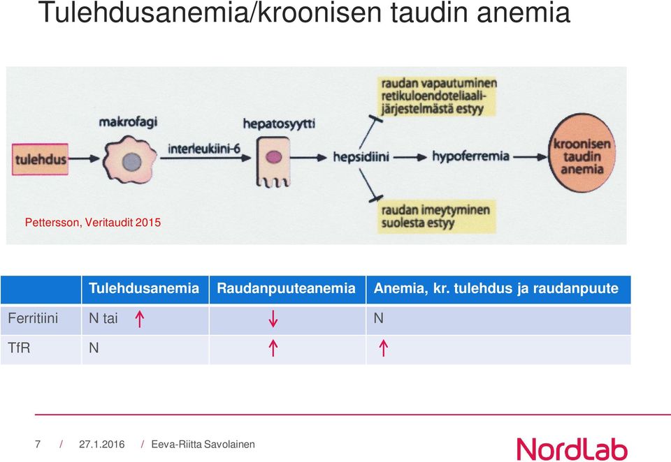 Tulehdusanemia Raudanpuuteanemia Anemia,