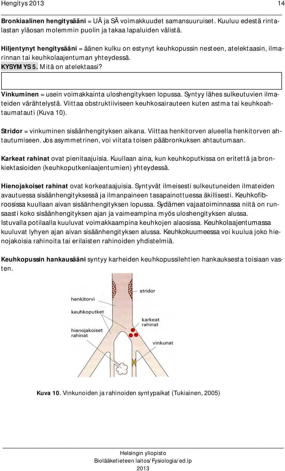 Vinkuminen = usein voimakkainta uloshengityksen lopussa. Syntyy lähes sulkeutuvien ilmateiden värähtelystä. Viittaa obstruktiiviseen keuhkosairauteen kuten astma tai keuhkoahtaumatauti (Kuva 10).