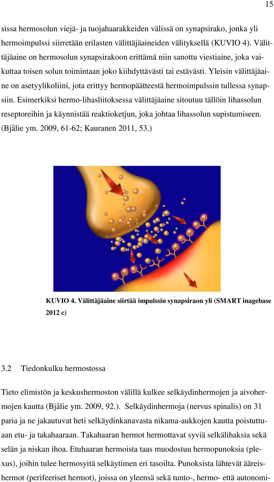 Yleisin välittäjäaine on asetyylikoliini, jota erittyy hermopäätteestä hermoimpulssin tullessa synapsiin.