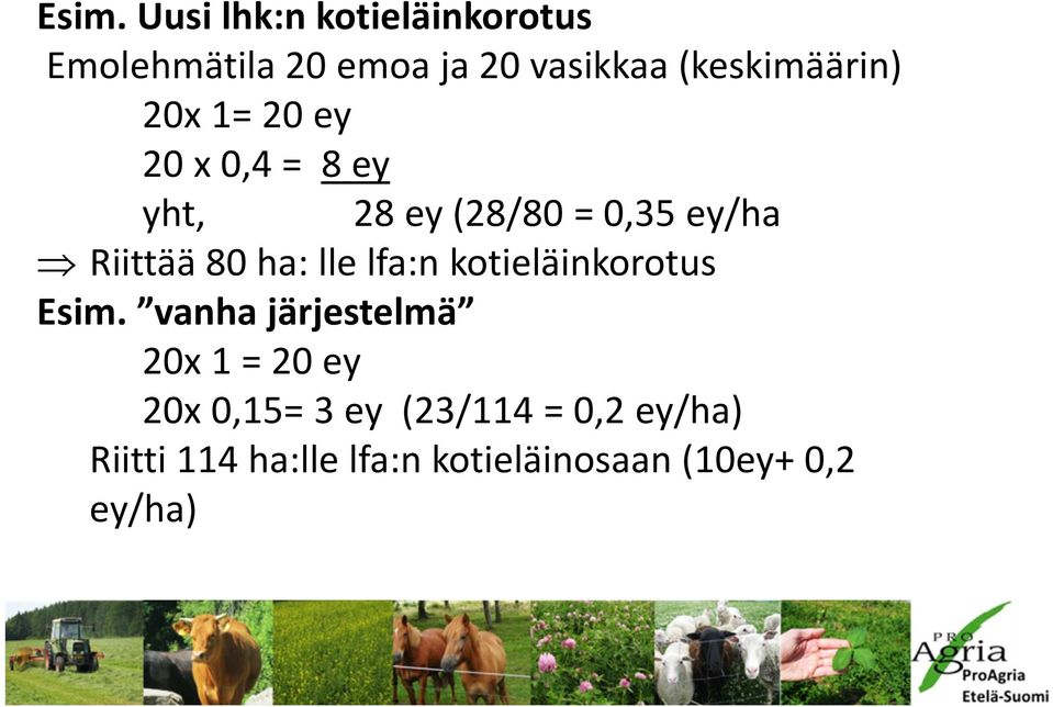 Riittää 80 ha: lle lfa:n kotieläinkorotus Esim.