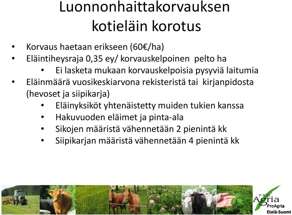 rekisteristä tai kirjanpidosta (hevoset ja siipikarja) Eläinyksiköt yhtenäistetty muiden tukien kanssa