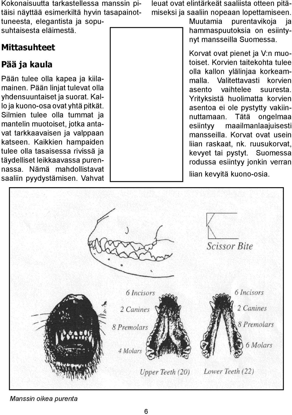 Kaikkien hampaiden tulee olla tasaisessa rivissä ja täydelliset leikkaavassa purennassa. Nämä mahdollistavat saaliin pyydystämisen.