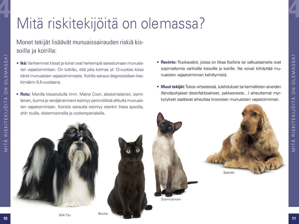 Koirilla sairaus diagnosoidaan keskimäärin 6,5-vuotiaana. Rotu: Monilla kissaroduilla (mm.