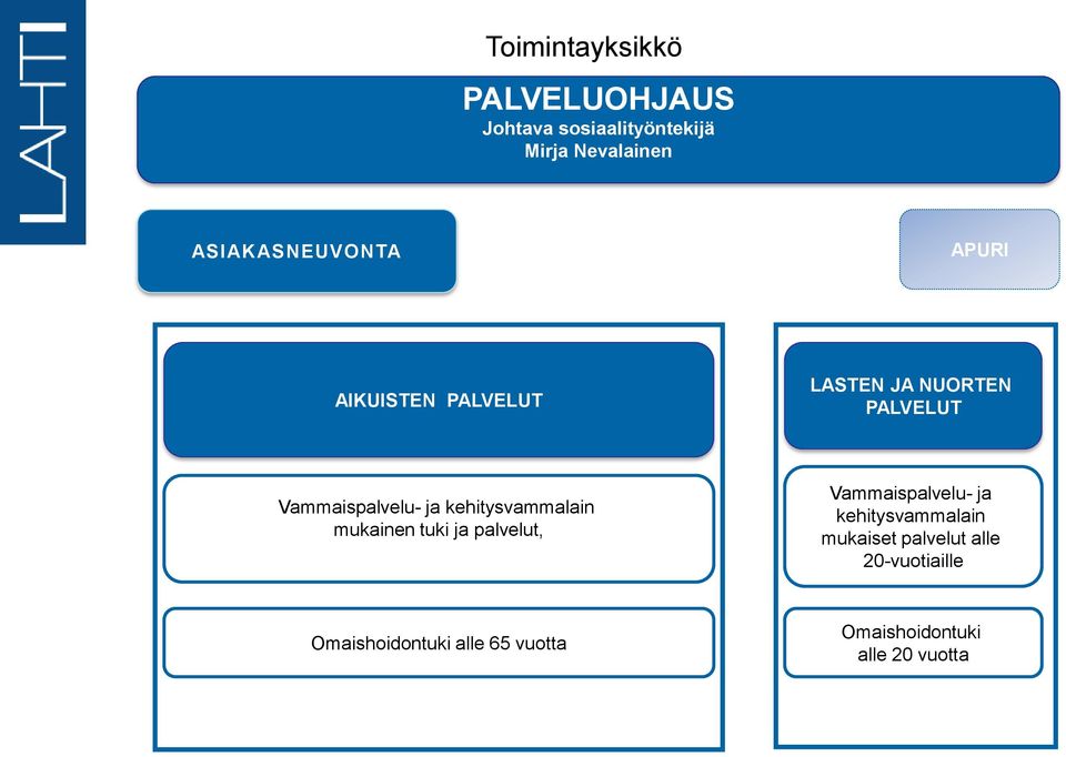 kehitysvammalain mukainen tuki ja palvelut, Vammaispalvelu- ja kehitysvammalain