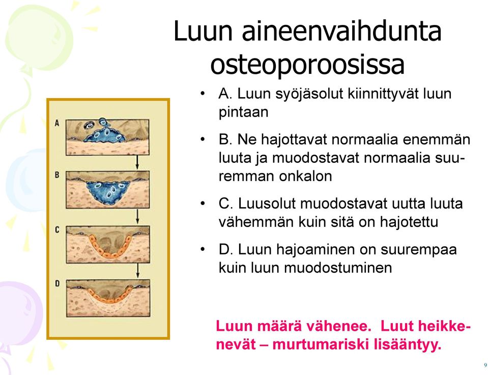 Luusolut muodostavat uutta luuta vähemmän kuin sitä on hajotettu D.