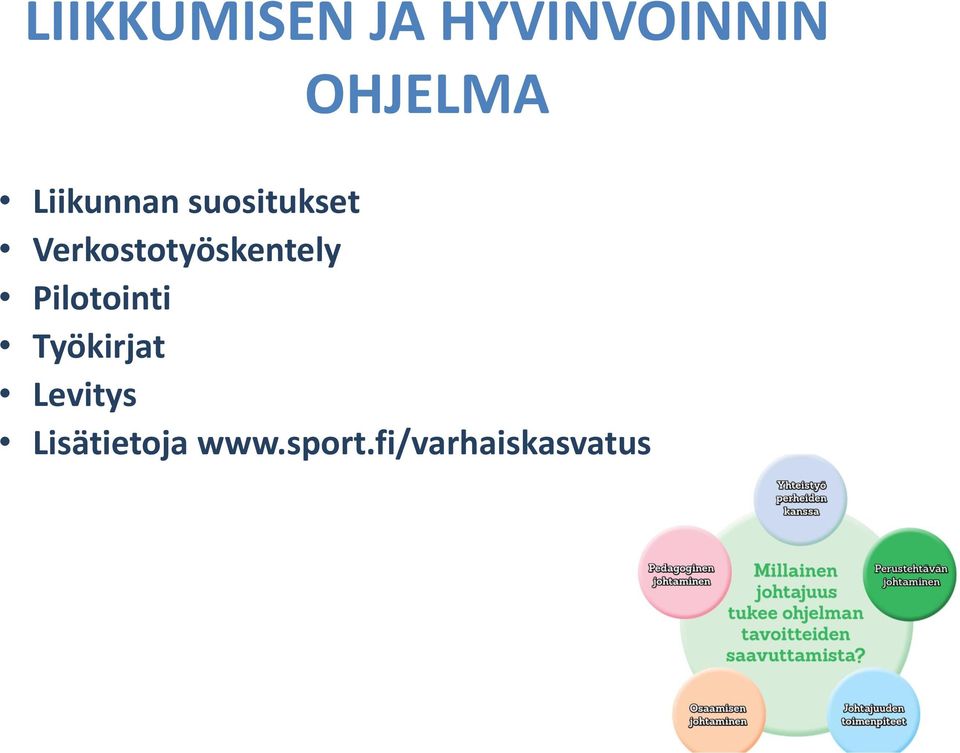 Verkostotyöskentely Pilotointi