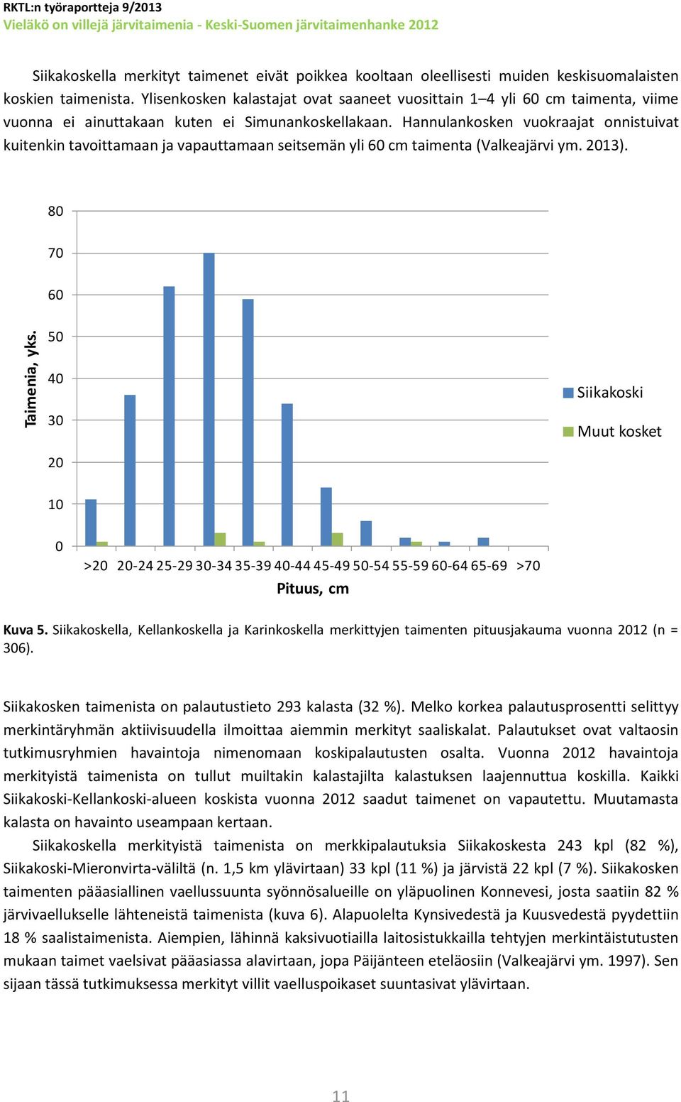 Hannulankosken vuokraajat onnistuivat kuitenkin tavoittamaan ja vapauttamaan seitsemän yli 6 cm taimenta (Valkeajärvi ym. 213).