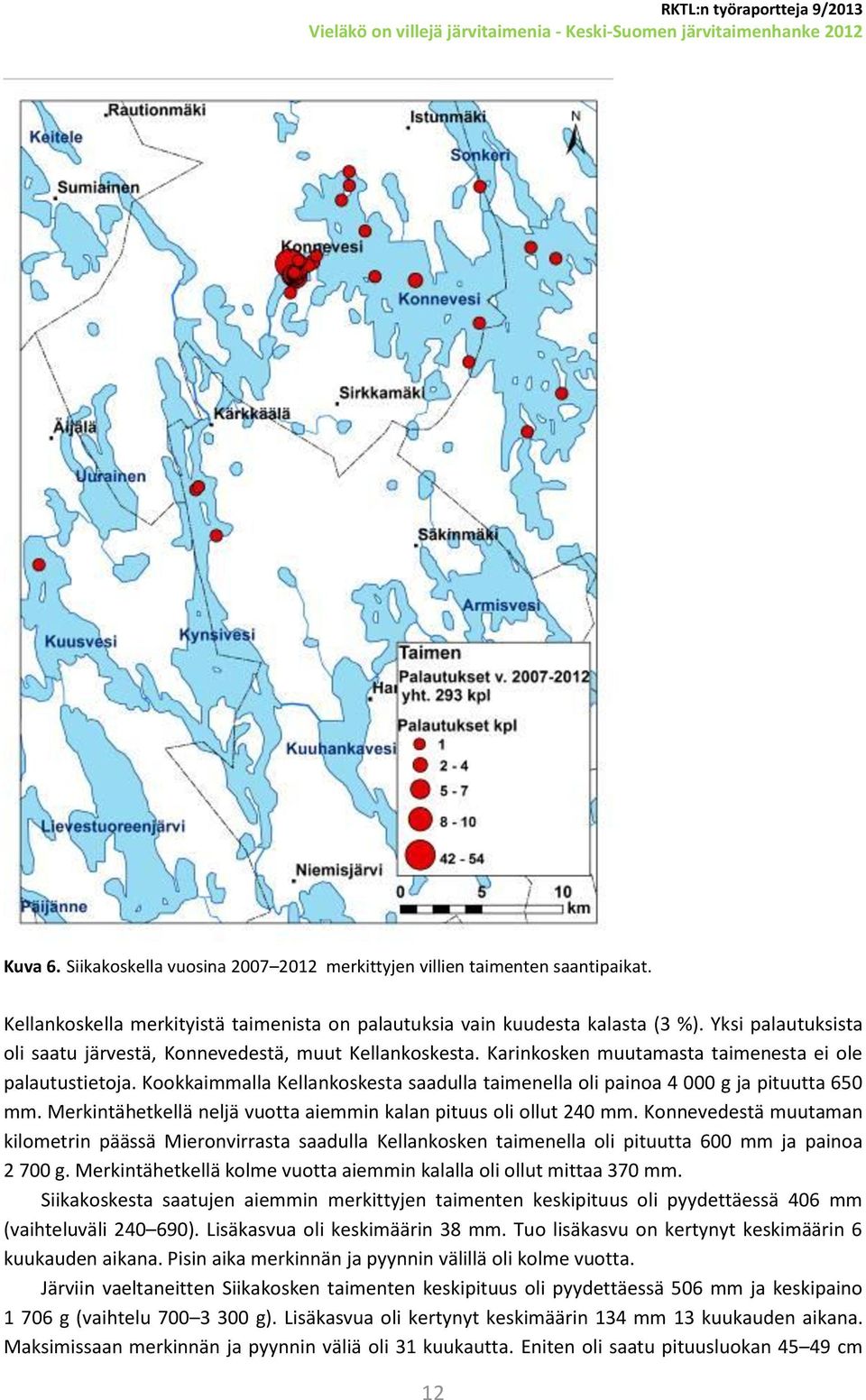 Kookkaimmalla Kellankoskesta saadulla taimenella oli painoa 4 g ja pituutta 65 mm. Merkintähetkellä neljä vuotta aiemmin kalan pituus oli ollut 24 mm.