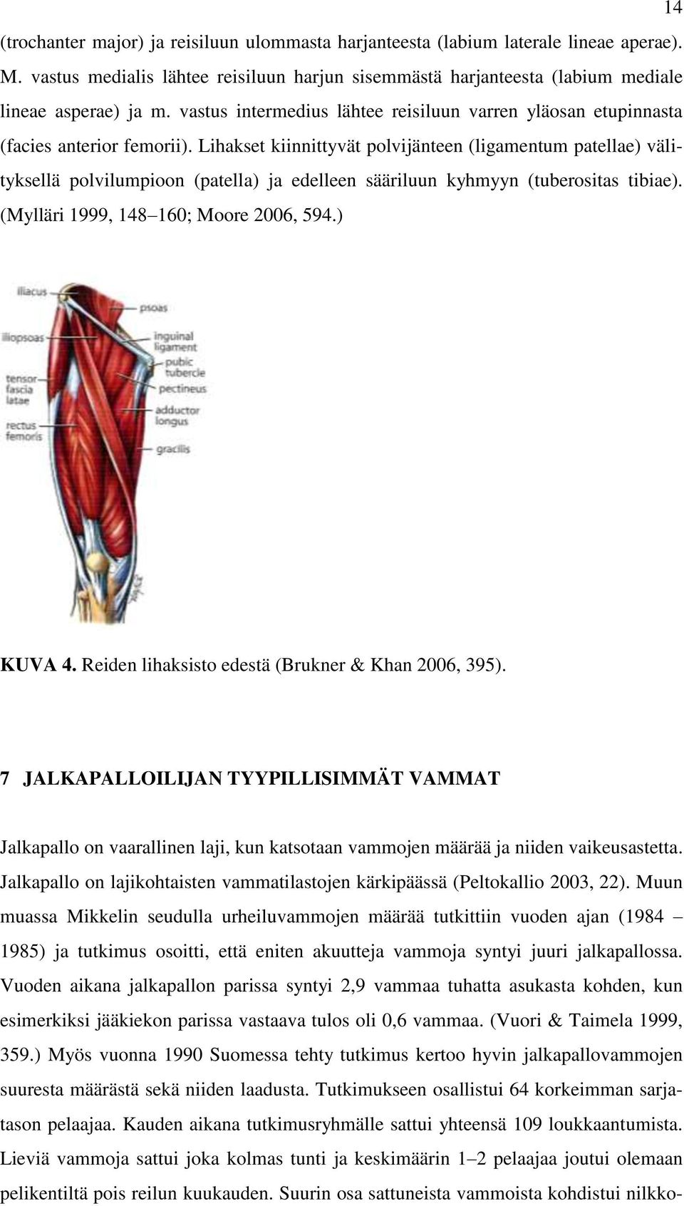 Lihakset kiinnittyvät polvijänteen (ligamentum patellae) välityksellä polvilumpioon (patella) ja edelleen sääriluun kyhmyyn (tuberositas tibiae). (Mylläri 1999, 148 160; Moore 2006, 594.) KUVA 4.