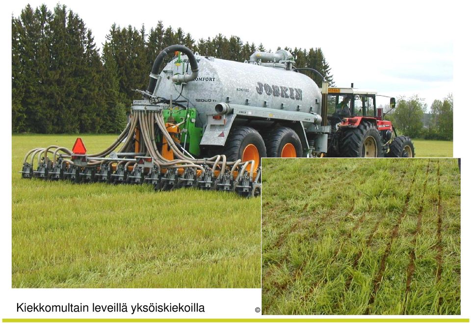 elintarviketalouden