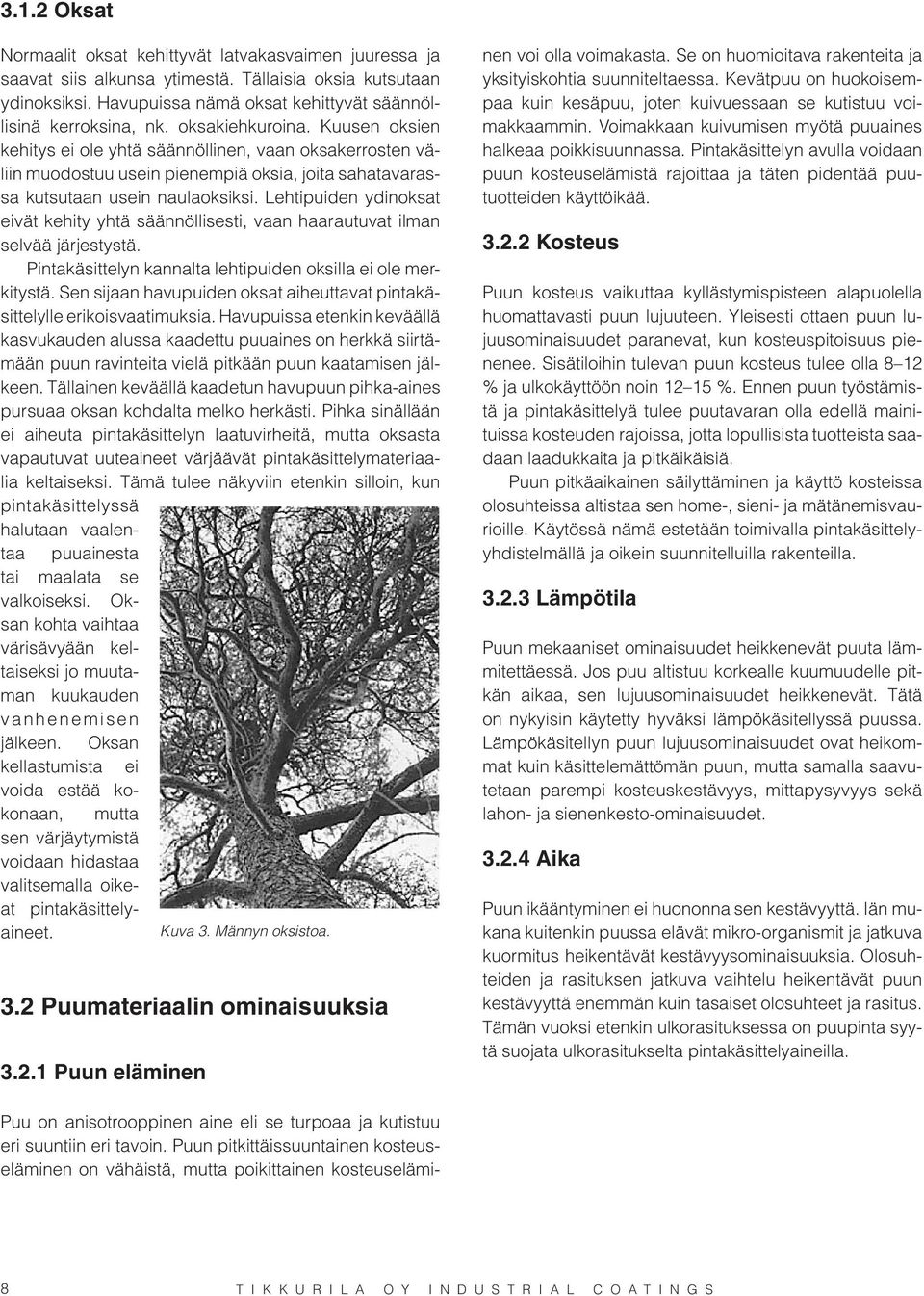 Lehtipuiden ydinoksat eivät kehity yhtä säännöllisesti, vaan haarautuvat ilman selvää järjestystä. Pintakäsittelyn kannalta lehtipuiden oksilla ei ole merkitystä.