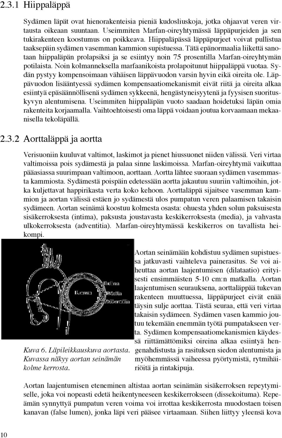 Tätä epänormaalia liikettä sanotaan hiippaläpän prolapsiksi ja se esiintyy noin 75 prosentilla Marfan-oireyhtymän potilaista. Noin kolmanneksella marfaanikoista prolapoitunut hiippaläppä vuotaa.