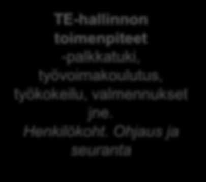 Koordinointi alueilla: ELYT/ELO-ryhmät ja Kuntien nuorten yhteistyöryhmät? OHJAAMO -pysyvä henkilöstö (esim.