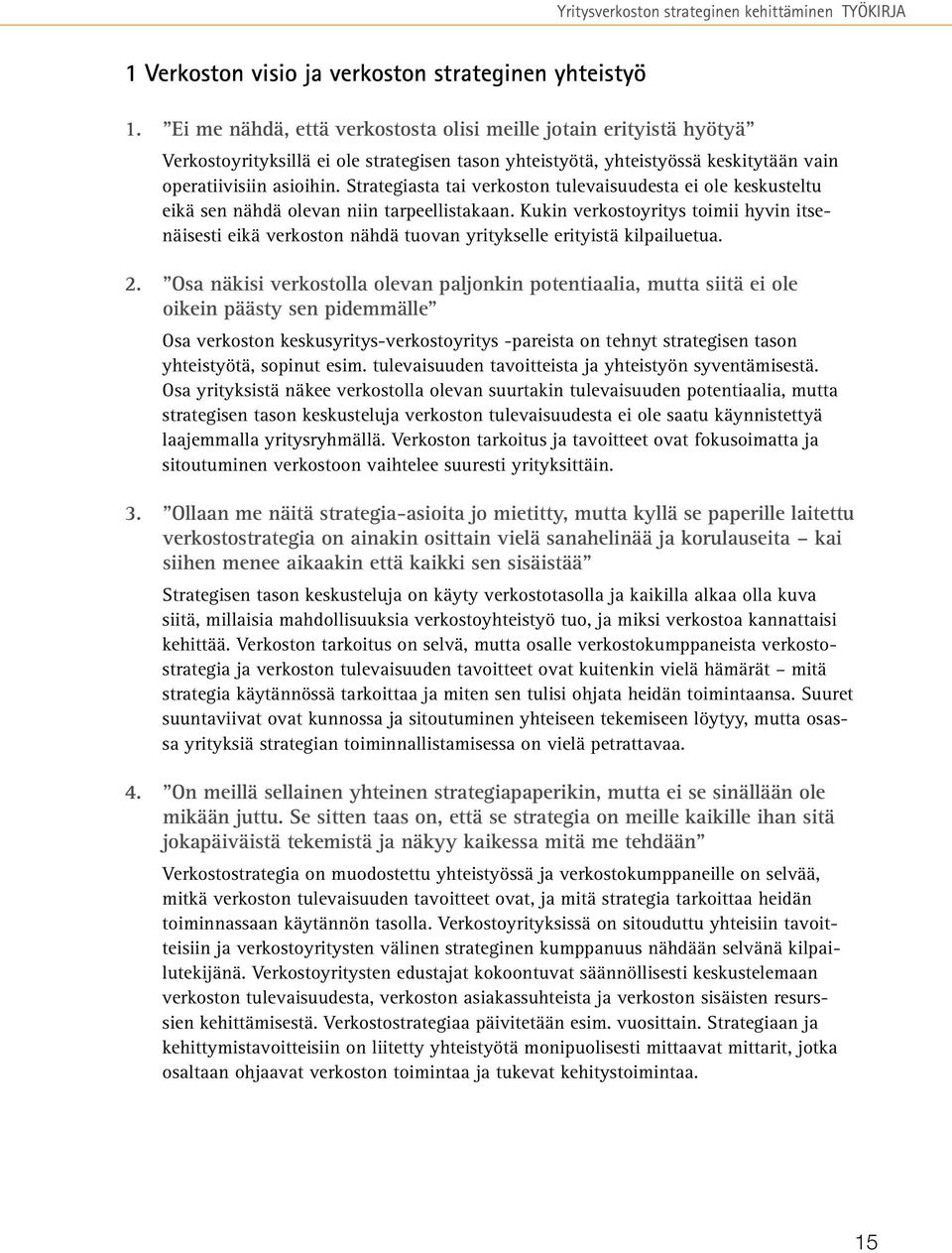 Strategiasta tai verkoston tulevaisuudesta ei ole keskusteltu eikä sen nähdä olevan niin tarpeellistakaan.