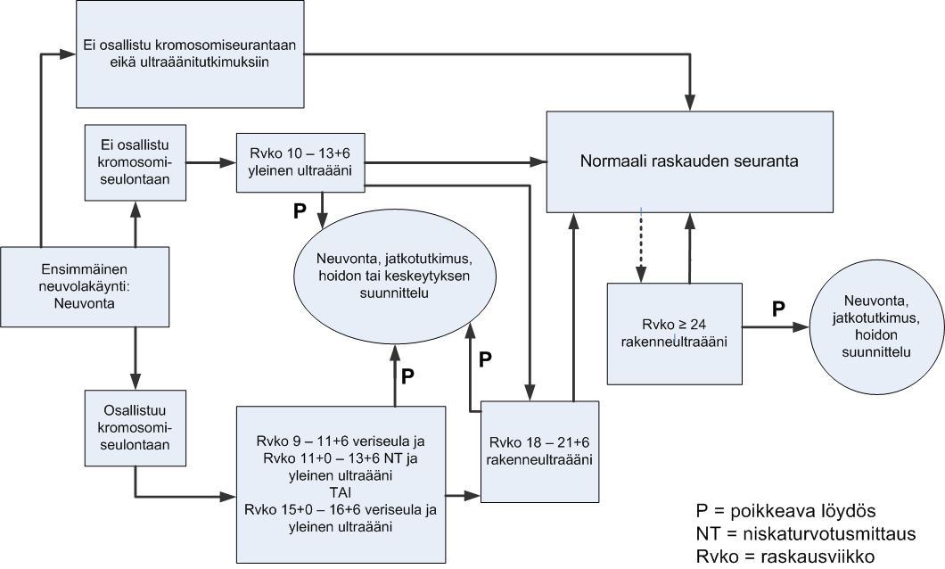 KUVIO 1 Seulonta-asetuksen mukainen sikiön rakenne- ja kromosomipoikkeavuuksien seulonta kaaviona.(sikiön poikkeavuuksien seulonta 2009, 16.