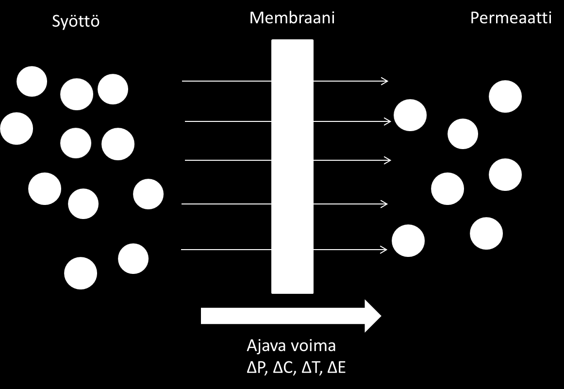 4 Membraanitekniikka alkalisen valkaisusuodoksen puhdistuksessa Membraanilla tarkoitetaan kahden faasin välistä selektiivistä kalvoa.