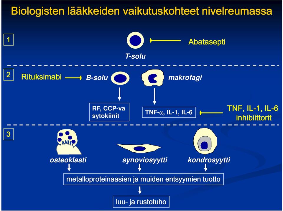 IL-1, IL-6 TNF, IL-1, IL-6 inhibiittorit 3 osteoklasti synoviosyytti