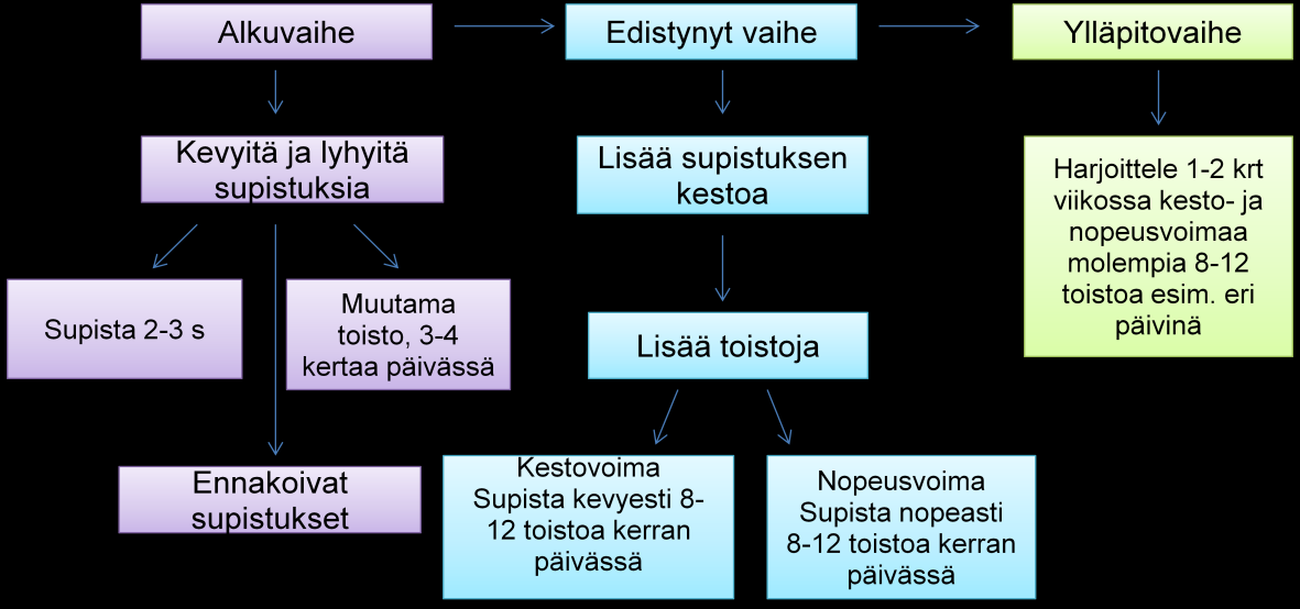 18 Kuvio 5. Harjoittelun eteneminen sulkijalihasvauriossa. Jokaisen potilaan kohdalla on huomioitava yksilöllisesti, milloin voidaan siirtyä harjoittelussa seuraavaan vaiheeseen.