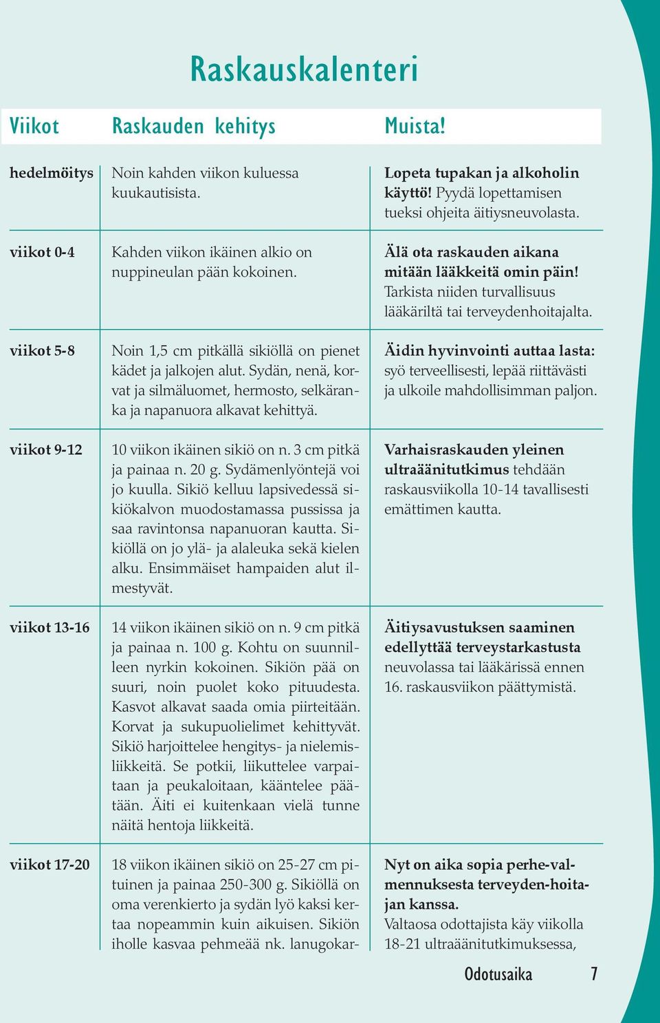 Sydän, nenä, korvat ja silmäluomet, hermosto, selkäranka ja napanuora alkavat kehittyä. 10 viikon ikäinen sikiö on n. 3 cm pitkä ja painaa n. 20 g. Sydämenlyöntejä voi jo kuulla.