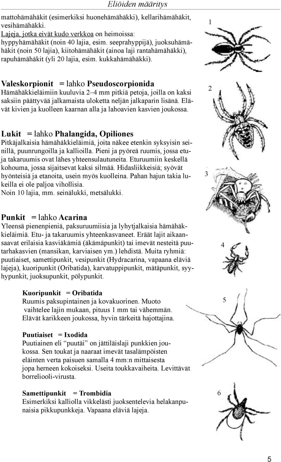 Valeskorpionit = lahko Pseudoscorpionida Hämähäkkieläimiin kuuluvia mm pitkiä petoja, joilla on kaksi saksiin päättyvää jalkamaista uloketta neljän jalkaparin lisänä.