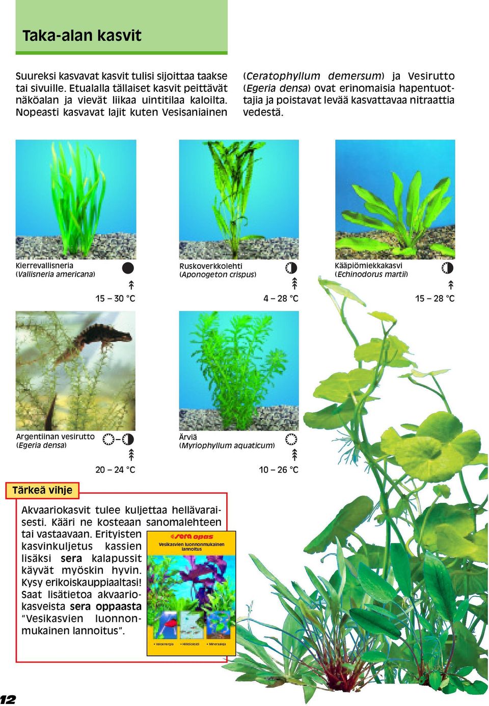 Kierrevallisneria (Vallisneria americana) Ruskoverkkolehti (Aponogeton crispus) Kääpiömiekkakasvi (Echinodorus martii) 15 30 C 4 28 C 15 28 C Argentiinan vesirutto (Egeria densa) Ärviä (Myriophyllum