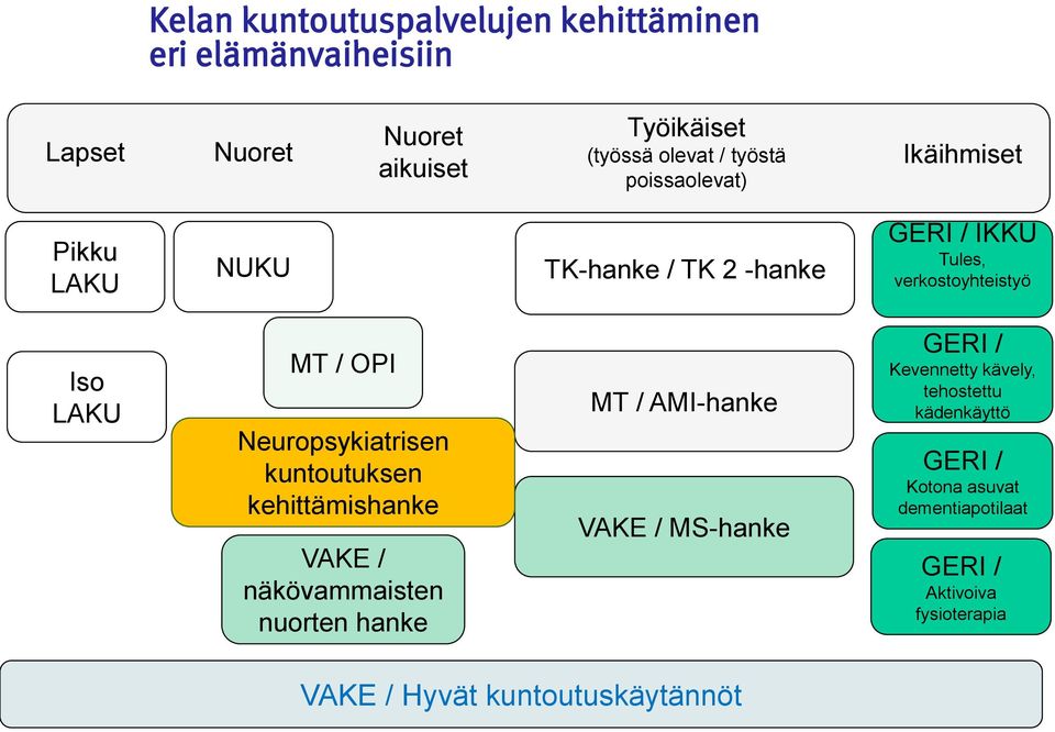 Neuropsykiatrisen kuntoutuksen kehittämishanke VAKE / näkövammaisten nuorten hanke MT / AMI-hanke VAKE / MS-hanke GERI /