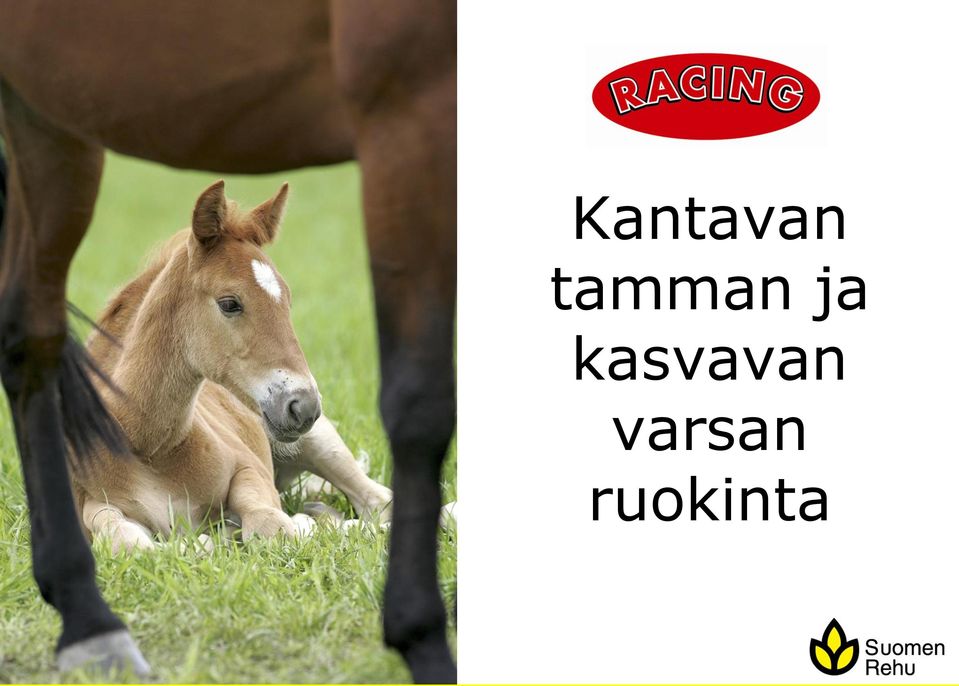 kasvavan