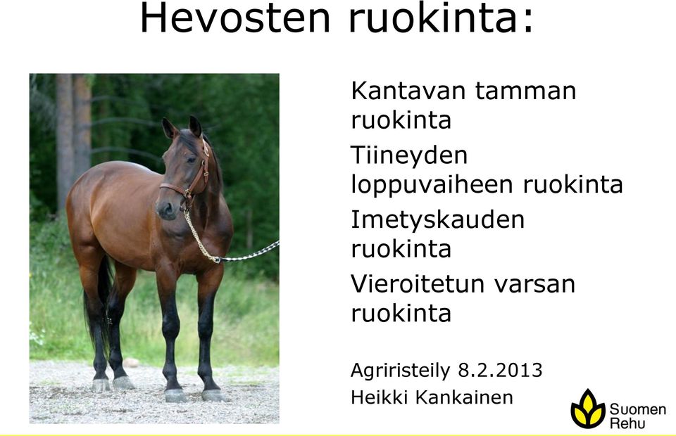 Imetyskauden ruokinta Vieroitetun varsan