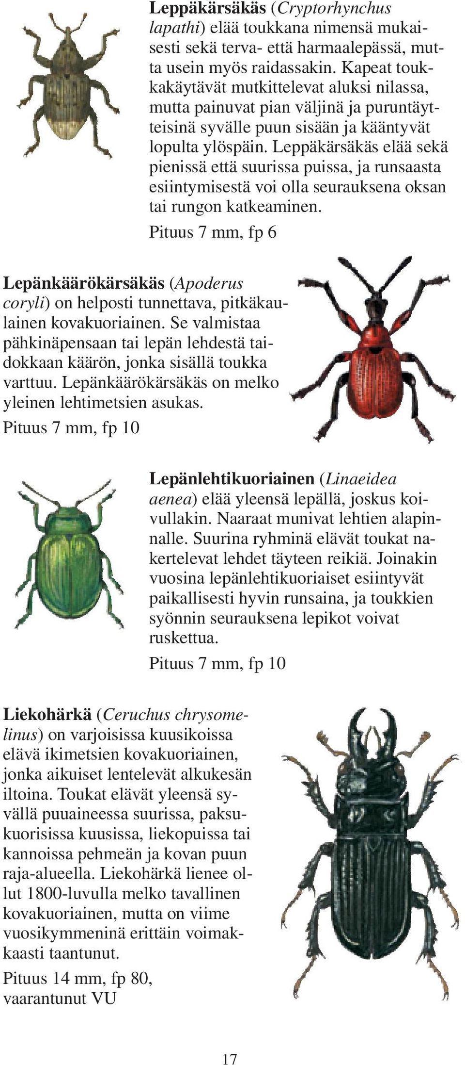 Leppäkärsäkäs elää sekä pienissä että suurissa puissa, ja runsaasta esiintymisestä voi olla seurauksena oksan tai rungon katkeaminen.