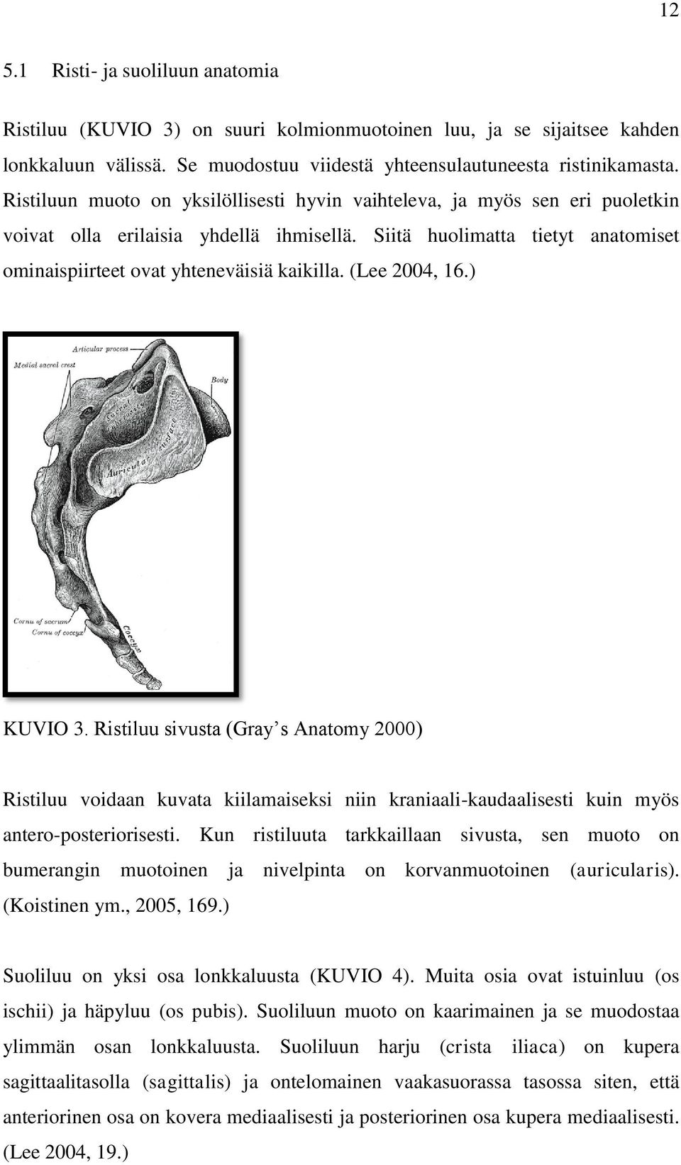(Lee 2004, 16.) KUVIO 3. Ristiluu sivusta (Gray s Anatomy 2000) Ristiluu voidaan kuvata kiilamaiseksi niin kraniaali-kaudaalisesti kuin myös antero-posteriorisesti.