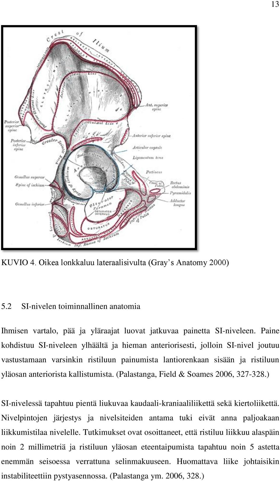 (Palastanga, Field & Soames 2006, 327-328.) SI-nivelessä tapahtuu pientä liukuvaa kaudaali-kraniaaliliikettä sekä kiertoliikettä.