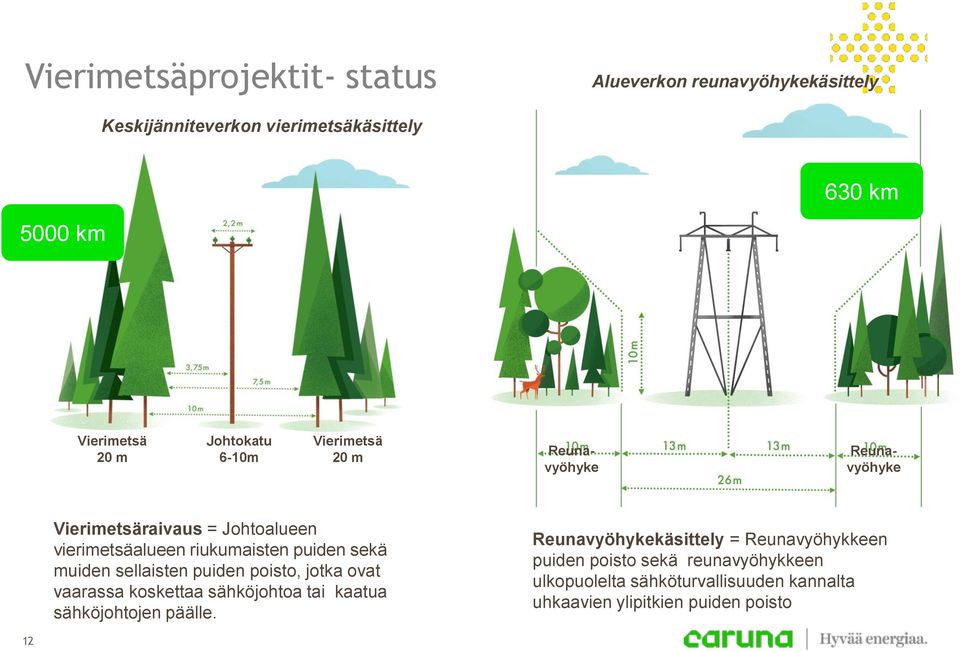 muiden sellaisten puiden poisto, jotka ovat vaarassa koskettaa sähköjohtoa tai kaatua sähköjohtojen päälle.