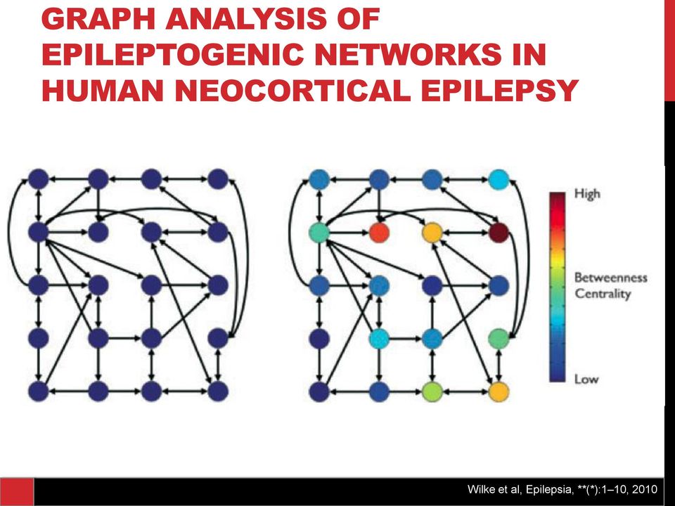 HUMAN NEOCORTICAL EPILEPSY