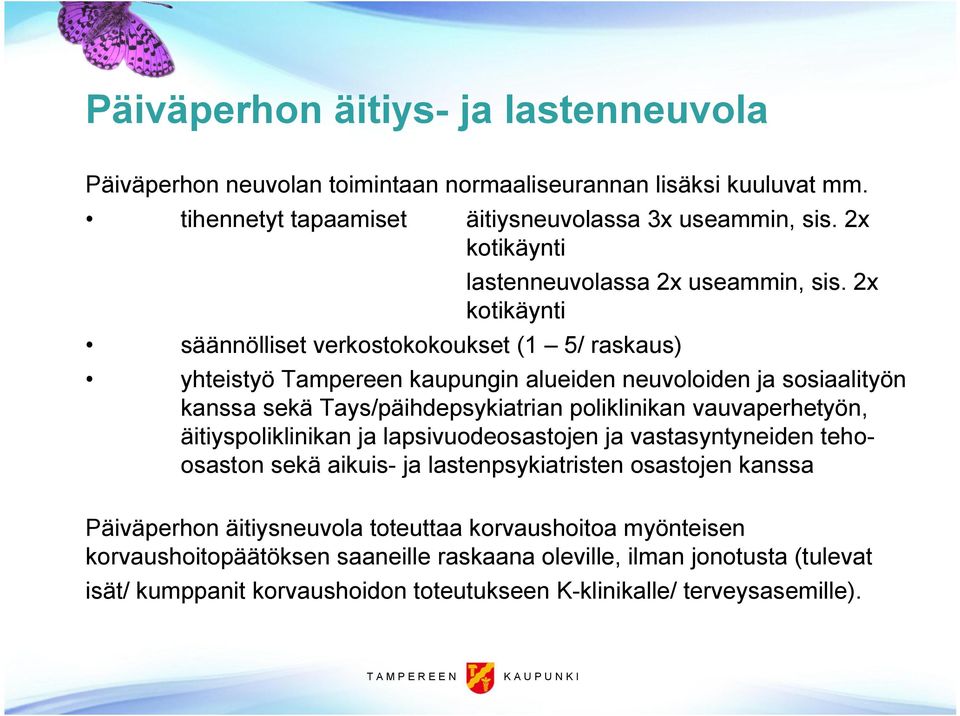 2x kotikäynti säännölliset verkostokokoukset (1 5/ raskaus) yhteistyö Tampereen kaupungin alueiden neuvoloiden ja sosiaalityön kanssa sekä Tays/päihdepsykiatrian poliklinikan