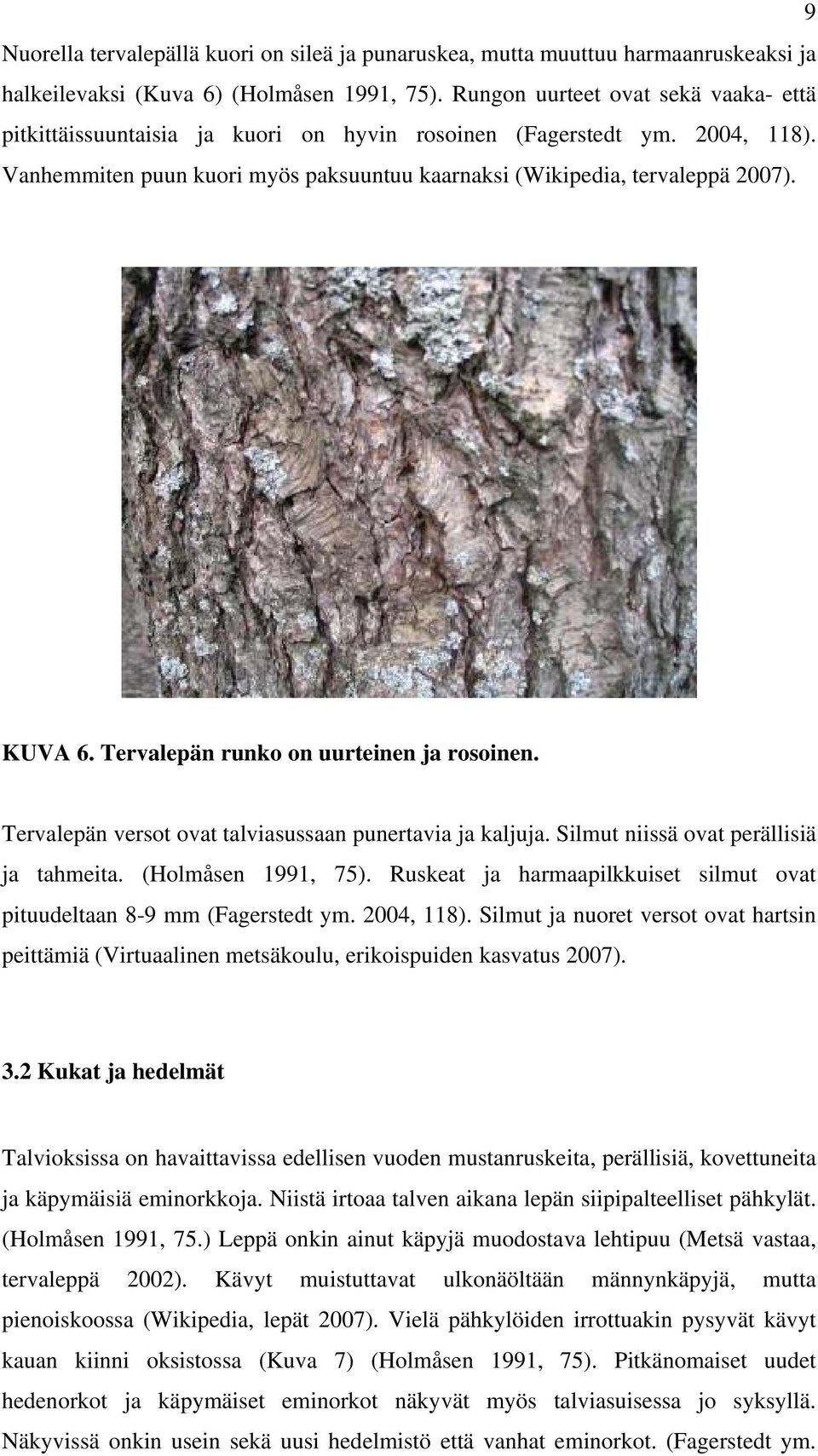 Tervalepän runko on uurteinen ja rosoinen. Tervalepän versot ovat talviasussaan punertavia ja kaljuja. Silmut niissä ovat perällisiä ja tahmeita. (Holmåsen 1991, 75).