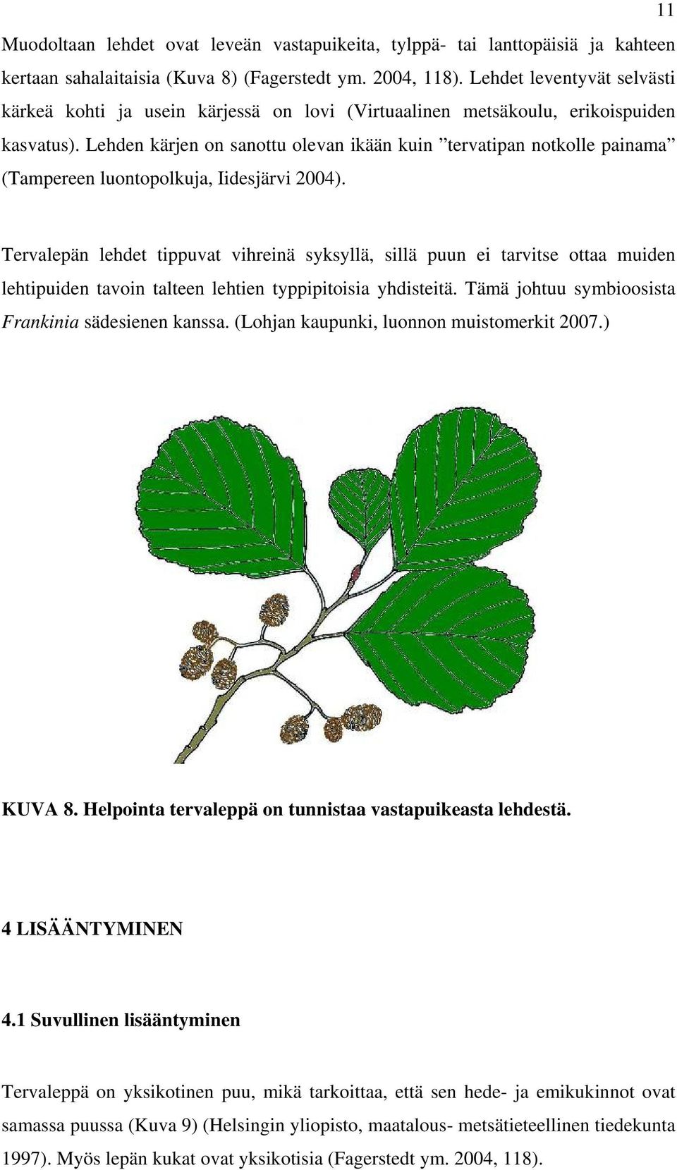Lehden kärjen on sanottu olevan ikään kuin tervatipan notkolle painama (Tampereen luontopolkuja, Iidesjärvi 2004).