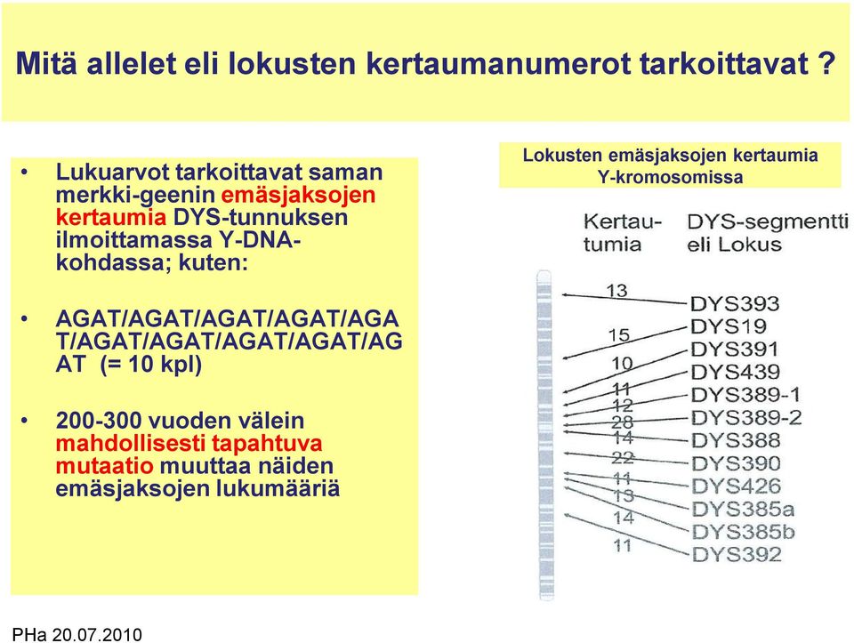 Y-DNAkohdassa; kuten: Lokusten emäsjaksojen kertaumia Y-kromosomissa AGAT/AGAT/AGAT/AGAT/AGA