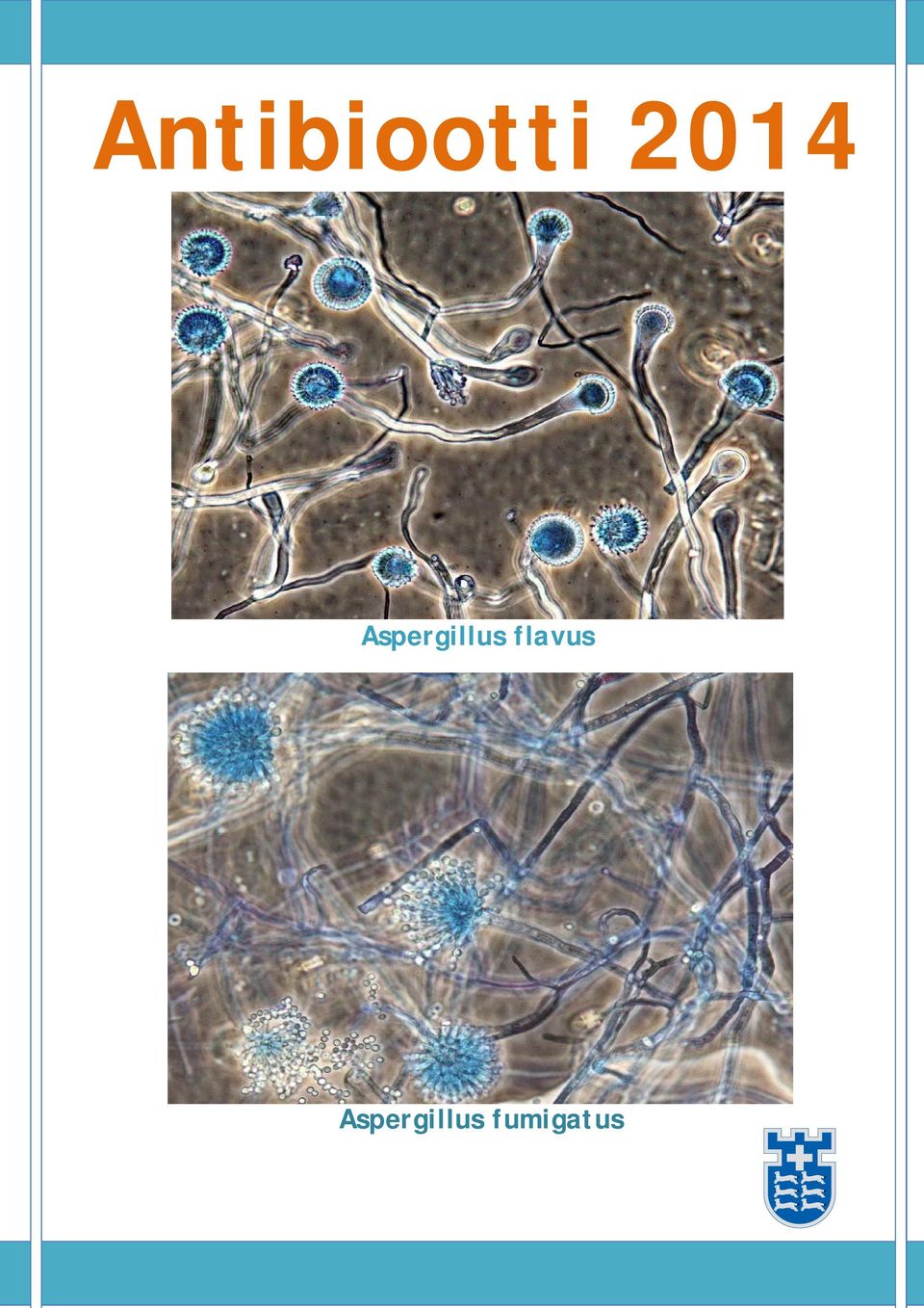 Aspergillus