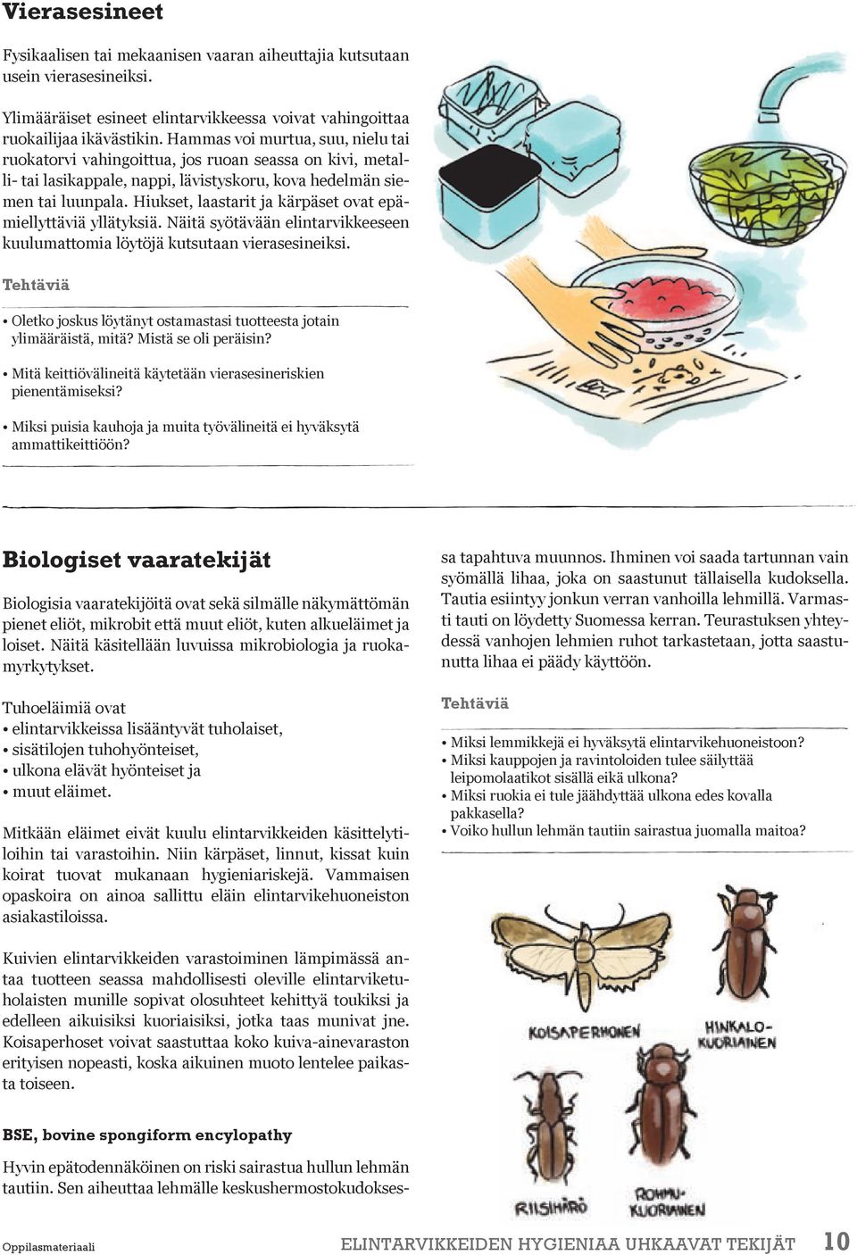 Hiukset, laastarit ja kärpäset ovat epämiellyttäviä yllätyksiä. Näitä syötävään elintarvikkeeseen kuulumattomia löytöjä kutsutaan vierasesineiksi.