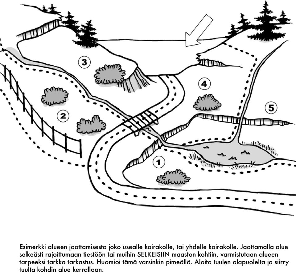 kohtiin, varmistutaan alueen tarpeeksi tarkka tarkastus.