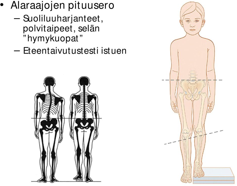 polvitaipeet, selän