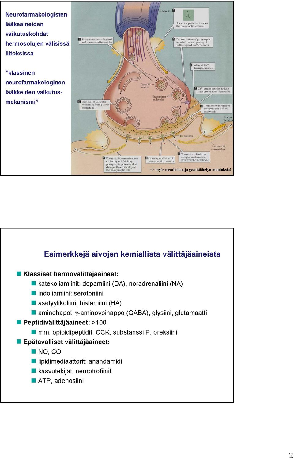 Esimerkkejä aivojen kemiallista välittäjäaineista Klassiset hermovälittäjäaineet: katekoliamiinit: dopamiini (DA), noradrenaliini (NA) indoliamiini: