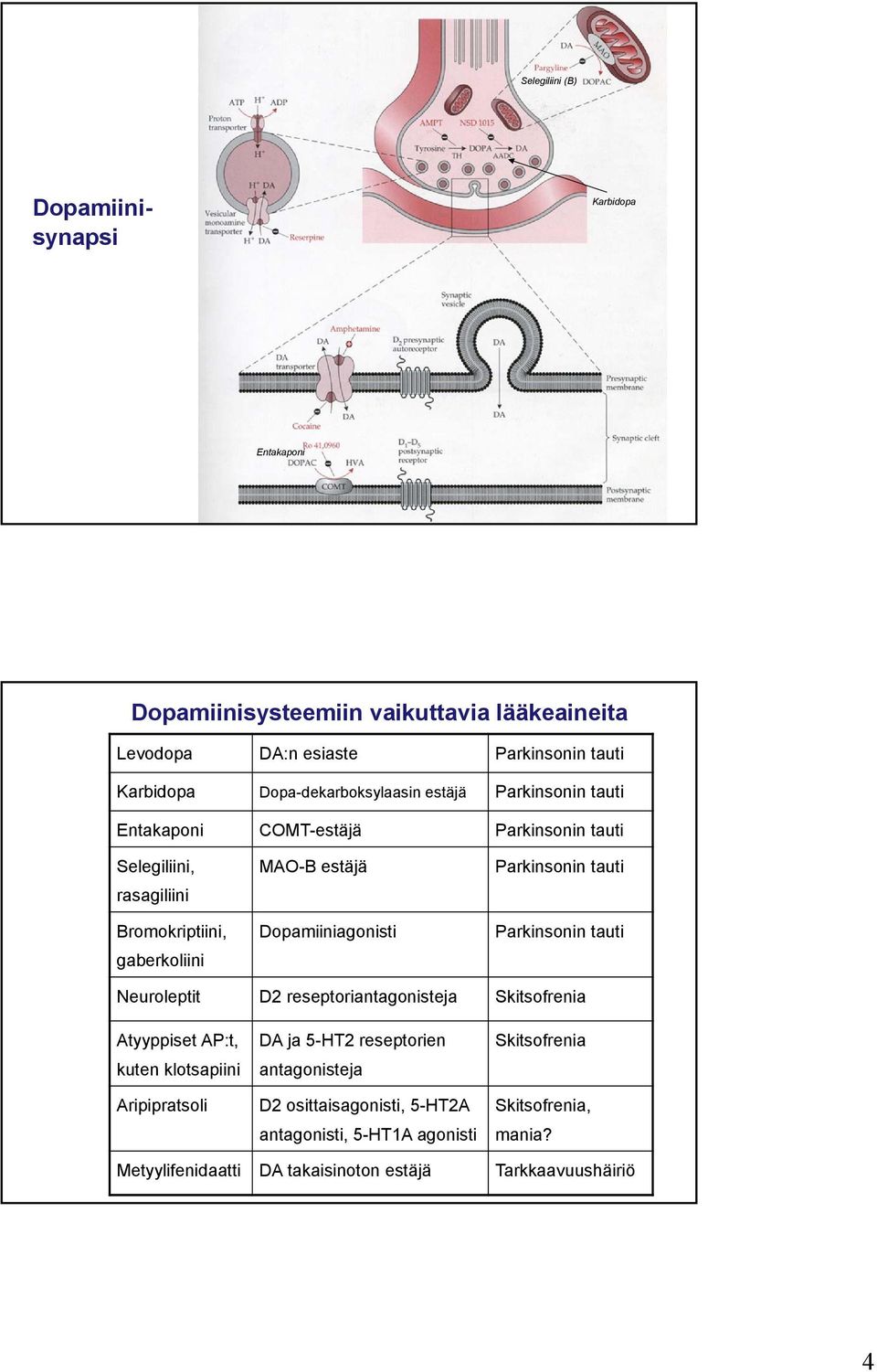 Dopamiiniagonisti Parkinsonin tauti Parkinsonin tauti Neuroleptit D2 reseptoriantagonisteja Skitsofrenia Atyyppiset AP:t, kuten klotsapiini Aripipratsoli DA ja