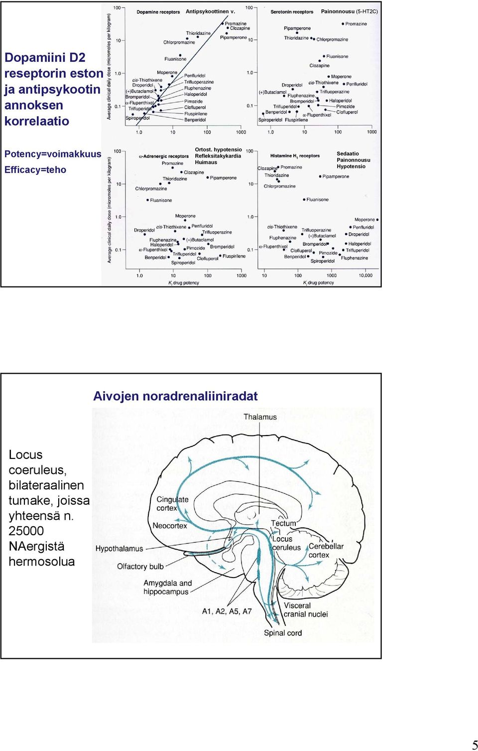 korrelaatio Potency=voimakkuus Efficacy=teho Ortost.