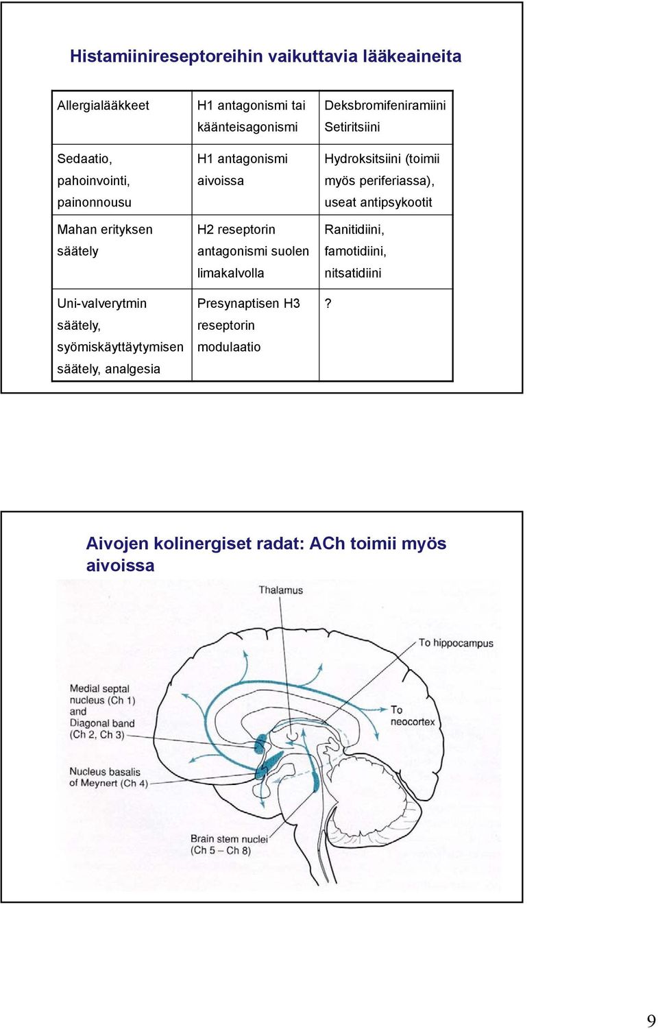 reseptorin antagonismi suolen limakalvolla Presynaptisen H3 reseptorin modulaatio Deksbromifeniramiini Setiritsiini Hydroksitsiini