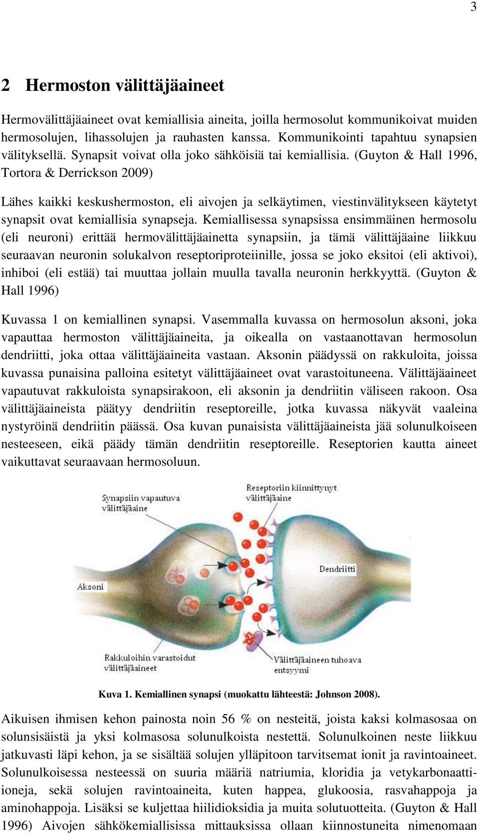 (Guyton & Hall 1996, Tortora & Derrickson 2009) Lähes kaikki keskushermoston, eli aivojen ja selkäytimen, viestinvälitykseen käytetyt synapsit ovat kemiallisia synapseja.
