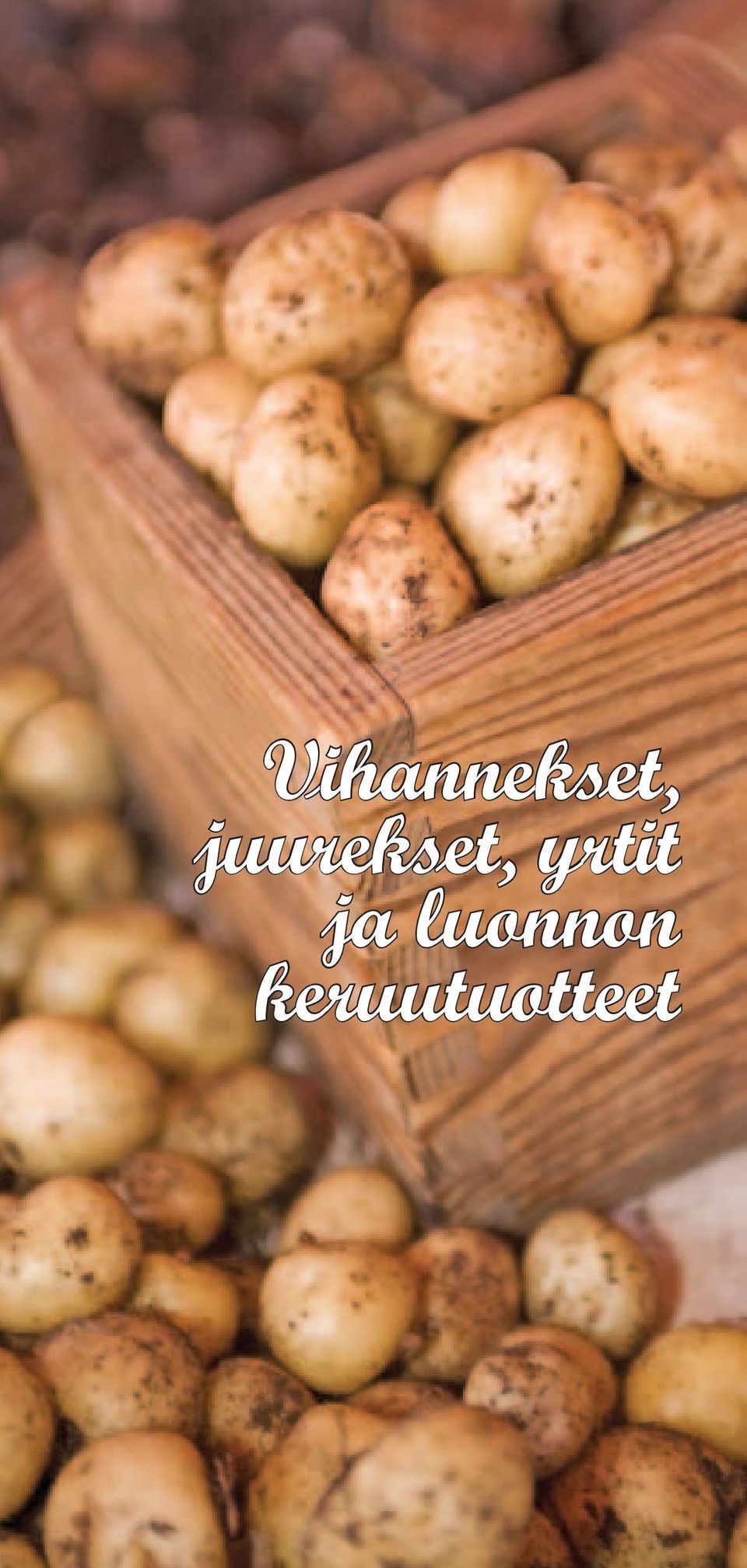 yrtit ja